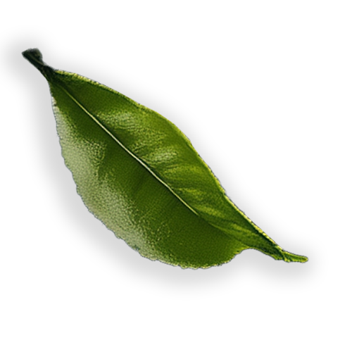 Tea Leaf