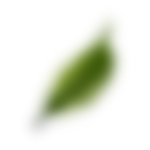 Tea Leaf